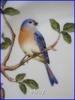 Herend SONGBIRD Dessert Pie Salad Plate 3 Available 1520 Eastern Bluebird SOBI 1