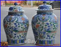 Huge China dynasty Wucai porcelain animal Phoenix bird statue Crock tank pot jar