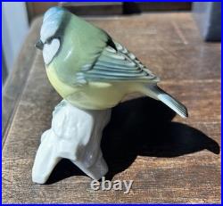 Hutschenreuther Pair Of Love Bird Porcelain Figurine Signed L Foucar Mint