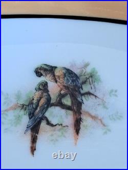 Hutschenreuther Selb Bavaria Oriental Bird Pattern 2 Orange & Black Serving Dish