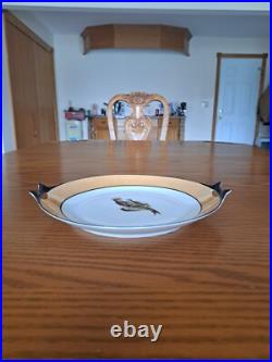 Hutschenreuther Selb Bavaria Oriental Bird Pattern 2 Orange & Black Serving Dish