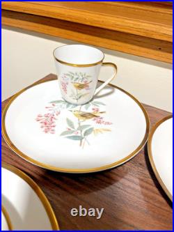 Hutschenreuther Selb Bavaria Porcelain Bird Set Audubon Drawings 23 Pieces