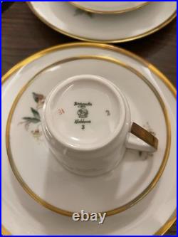 Hutschenreuther Selb Bavaria Porcelain Bird Set Audubon Drawings 23 Pieces