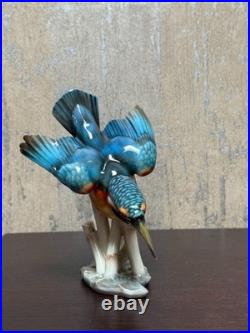 Hutschenreuther Selb Kingfisher Bird Porcelain Figurine by Hans Achtziger German