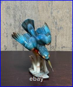 Hutschenreuther Selb Kingfisher Bird Porcelain Figurine by Hans Achtziger German