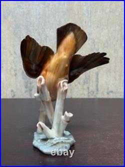 Hutschenreuther Selb Kingfisher Bird Porcelain Figurine by Hans Achtziger German