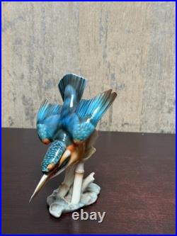 Hutschenreuther Selb Kingfisher Bird Porcelain Figurine by Hans Achtziger German