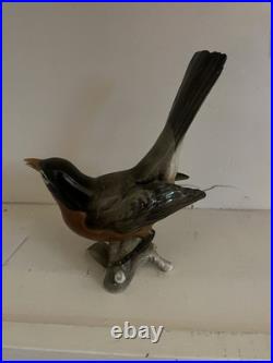 Hutschenreuther bird figurine robin Gunther Granget approx. 17.5 cm H