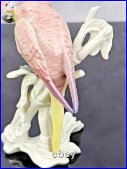Karl Ens 6778 Porcelain Parakeet Parrot Bird Figurine Pink Rose Yellow Germany