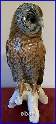 Karl Ens Big Germany Rare Antique Porcelain Statue Figurine Tawny Owl Marked