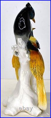 Karl Ens Bird Of Paradise German Porcelain Statue 11 Tall x 6 Wide x 5 Deep