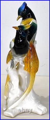 Karl Ens Bird Of Paradise German Porcelain Statue 11 Tall x 6 Wide x 5 Deep