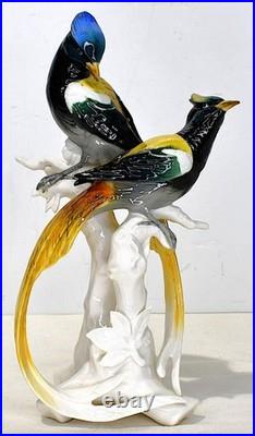 Karl Ens Bird Of Paradise German Porcelain Statue 11 Tall x 6 Wide x 5 Deep