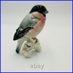 Karl Ens Figurine Bird Bullfinch Germany Antique Porcelain Statue Marked Rare