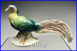 Karl Ens Pheasant Bird Porcelain Figurine