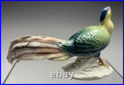 Karl Ens Pheasant Bird Porcelain Figurine