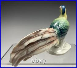Karl Ens Pheasant Bird Porcelain Figurine
