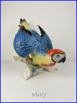 Karl Ens Volkstedt Germany Large Porcelain Macaw Parrot Figurine 18 Vintage