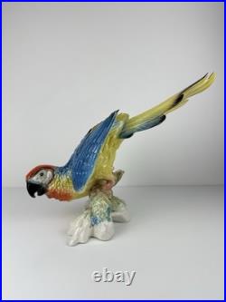 Karl Ens Volkstedt Germany Large Porcelain Macaw Parrot Figurine 18 Vintage