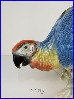 Karl Ens Volkstedt Germany Large Porcelain Macaw Parrot Figurine 18 Vintage