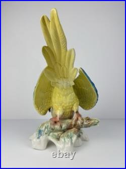Karl Ens Volkstedt Germany Large Porcelain Macaw Parrot Figurine 18 Vintage