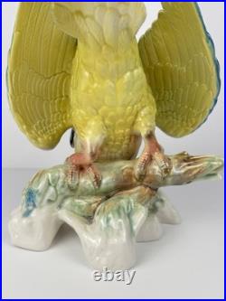 Karl Ens Volkstedt Germany Large Porcelain Macaw Parrot Figurine 18 Vintage