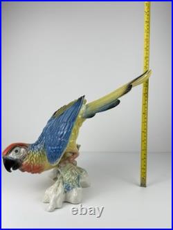Karl Ens Volkstedt Germany Large Porcelain Macaw Parrot Figurine 18 Vintage