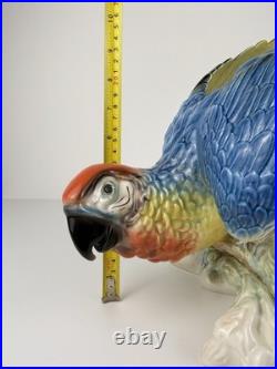 Karl Ens Volkstedt Germany Large Porcelain Macaw Parrot Figurine 18 Vintage