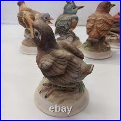 Kelvin's China handpainted birds B-743 Set of Five Japan