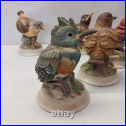 Kelvin's China handpainted birds B-743 Set of Five Japan