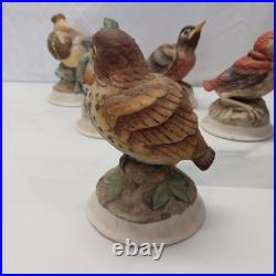 Kelvin's China handpainted birds B-743 Set of Five Japan