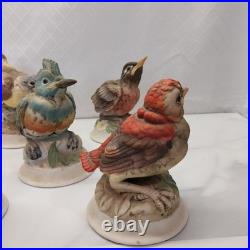 Kelvin's China handpainted birds B-743 Set of Five Japan