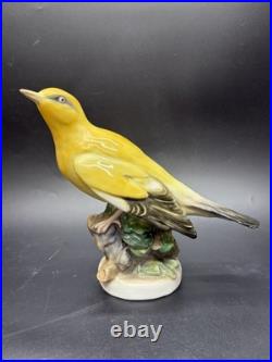 Large Karl Ens Porcelain Hand Painted Golden Oriole Thuringen Bird Figurine