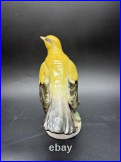 Large Karl Ens Porcelain Hand Painted Golden Oriole Thuringen Bird Figurine