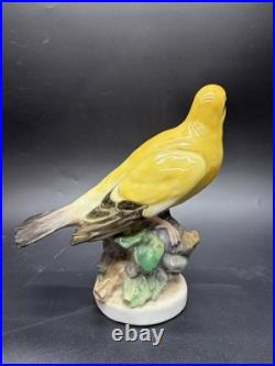Large Karl Ens Porcelain Hand Painted Golden Oriole Thuringen Bird Figurine