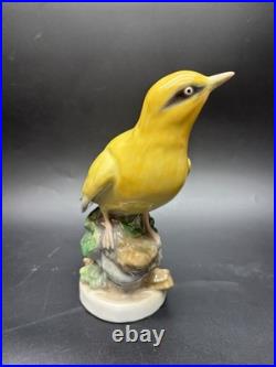 Large Karl Ens Porcelain Hand Painted Golden Oriole Thuringen Bird Figurine