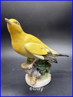 Large Karl Ens Porcelain Hand Painted Golden Oriole Thuringen Bird Figurine