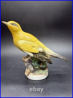 Large Karl Ens Porcelain Hand Painted Golden Oriole Thuringen Bird Figurine