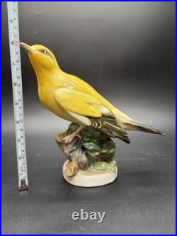 Large Karl Ens Porcelain Hand Painted Golden Oriole Thuringen Bird Figurine