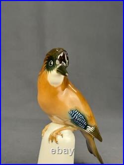 Lorenz Hutschenreuther Porcelain 8 1/4 Eurasian Jay Bird Figurine Germany MINT