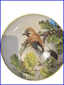 Lot 11 Collectible Bird Plates 1984 French Haviland Limoges Franklin Porcelain
