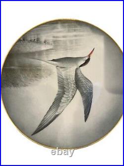 Lot 11 Collectible Bird Plates 1984 French Haviland Limoges Franklin Porcelain