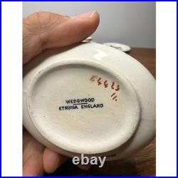 Lot of 16 Wedgwood Etruria England Porcelain Bird Pheasant Tea Set Cups Dishes