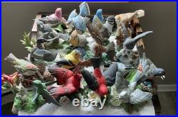 Lot of 19 Lenox Fine Porcelain Garden Bird Figurine Collection Blue Jay Cardinal