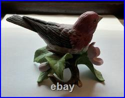 Lot of 19 Lenox Fine Porcelain Garden Bird Figurine Collection Blue Jay Cardinal