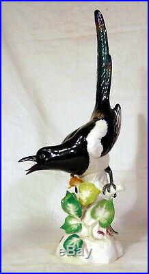 MEISSEN Large Antique German Porcelain Black Bird Figurine Magpie 21 Kaendler