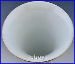 MINT HEREND Rothschild Bird Blue Border 9 Vase Motif #2