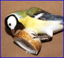 Meissen #798 Porcelain Figure Bluetit Bird 3.4 tall Germany Original Blue Tit