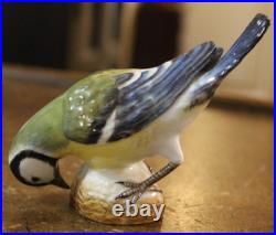 Meissen #798 Porcelain Figure Bluetit Bird 3.4 tall Germany Original Blue Tit