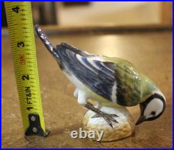 Meissen #798 Porcelain Figure Bluetit Bird 3.4 tall Germany Original Blue Tit